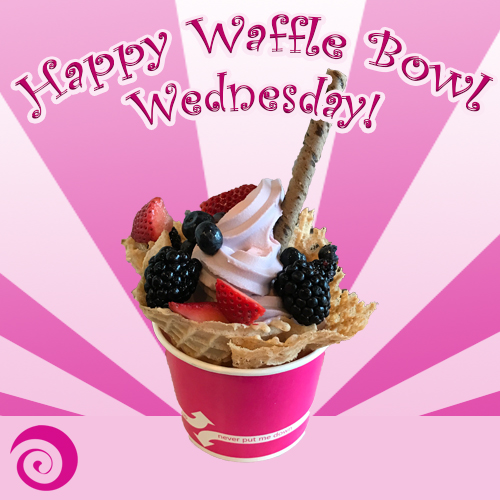 Frenzi_Frozen_Yogurt_Waffle_Bowl_Wednesday