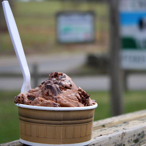 Frenzi Frozen Yogurt_Ice Cream Destinations For Your Summer Road Trip-1